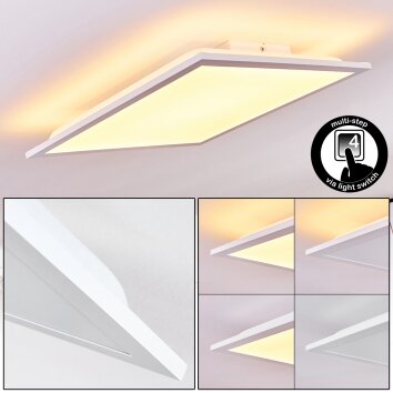 Badia Ceiling Light LED white, 2-light sources