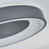 Casina Ceiling Light LED anthracite, white, 1-light source, Remote control