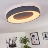 Casina Ceiling Light LED anthracite, white, 1-light source, Remote control
