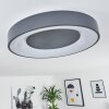 Casina Ceiling Light LED anthracite, white, 1-light source, Remote control
