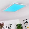Gallitos Ceiling Light LED white, 1-light source, Remote control, Colour changer