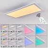Gallitos Ceiling Light LED white, 1-light source, Remote control, Colour changer