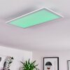 Gallitos Ceiling Light LED white, 1-light source, Remote control, Colour changer