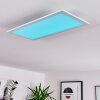 Gallitos Ceiling Light LED white, 1-light source, Remote control, Colour changer