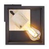 Globo HAGAR Ceiling Light Light wood, black, 1-light source