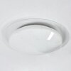 Cure Ceiling Light LED white, 1-light source, Remote control, Colour changer