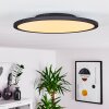 Nexo Ceiling Light LED black, 1-light source, Remote control