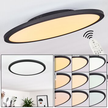 Nexo Ceiling Light LED black, 1-light source, Remote control