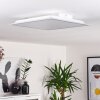 Nexo Ceiling Light LED white, 1-light source