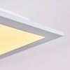 Nexo Ceiling Light LED white, 1-light source