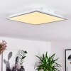 Nexo Ceiling Light LED white, 1-light source