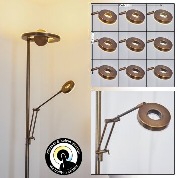 Rabeja Floor Lamp LED brass, 2-light sources