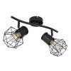 Globo PRISKA Spotlight black, 2-light sources