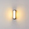 Arvier Outdoor Wall Light LED grey, 1-light source