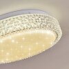 Suno Ceiling Light LED transparent, clear, white, 1-light source