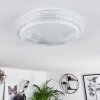 Suno Ceiling Light LED transparent, clear, white, 1-light source