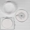 Suno Ceiling Light LED transparent, clear, white, 1-light source