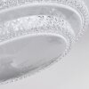Roseto Ceiling Light LED transparent, clear, white, 1-light source, Remote control