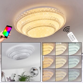 Roseto Ceiling Light LED transparent, clear, white, 1-light source, Remote control