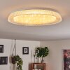 Feletto Ceiling Light LED transparent, clear, white, 1-light source, Remote control