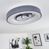 Gabbiana Ceiling Light LED grey, white, 1-light source, Remote control