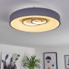 Gabbiana Ceiling Light LED grey, white, 1-light source, Remote control