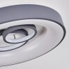 Gabbiana Ceiling Light LED grey, white, 1-light source, Remote control
