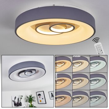 Gabbiana Ceiling Light LED grey, white, 1-light source, Remote control