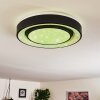 Grimacco Ceiling Light LED black, 1-light source, Colour changer
