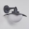 Spessa Outdoor Wall Light anthracite, 1-light source