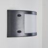 Pompeano Outdoor Wall Light LED black, 1-light source
