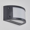 Pompeano Outdoor Wall Light LED black, 1-light source