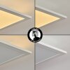Nexo Ceiling Light LED white, 2-light sources