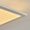Nexo Ceiling Light LED white, 2-light sources