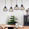 Gainsville Ceiling Light black, 4-light sources