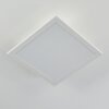 Nexo Ceiling Light LED white, 1-light source