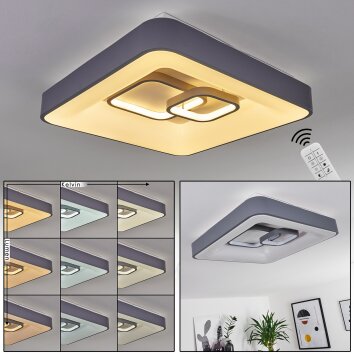 Gabbiana Ceiling Light LED grey, white, 1-light source, Remote control
