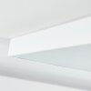 Pedemonte Ceiling Light LED white, 1-light source