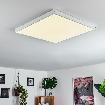 Pedemonte Ceiling Light LED white, 1-light source
