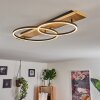 Pompu Ceiling Light LED Light wood, black, 2-light sources
