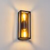 Caudry Outdoor Wall Light black, 2-light sources