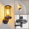 Riola Outdoor Wall Light anthracite, 1-light source