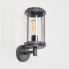 Riola Outdoor Wall Light anthracite, 1-light source