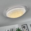 Rosenga Ceiling Light LED white, 1-light source, Remote control