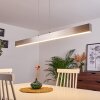 Poroporo Pendant Light LED matt nickel, 1-light source