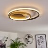 Trapani Ceiling Light LED gold, black, 1-light source, Remote control, Colour changer