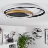 Trapani Ceiling Light LED gold, black, 1-light source, Remote control, Colour changer