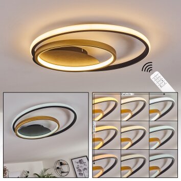 Trapani Ceiling Light LED gold, black, 1-light source, Remote control, Colour changer