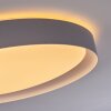 Beade Ceiling Light LED grey, white, 1-light source, Remote control, Colour changer