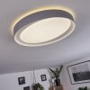Beade Ceiling Light LED grey, white, 1-light source, Remote control, Colour changer
